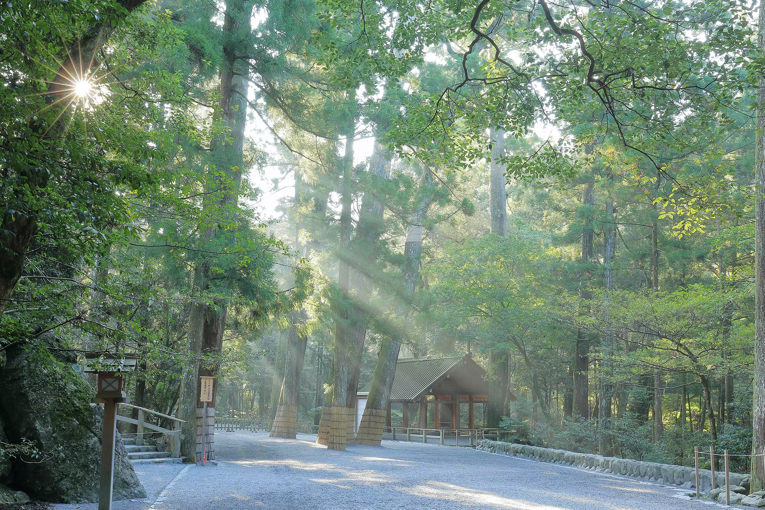 内宮 正宮石段下の参道