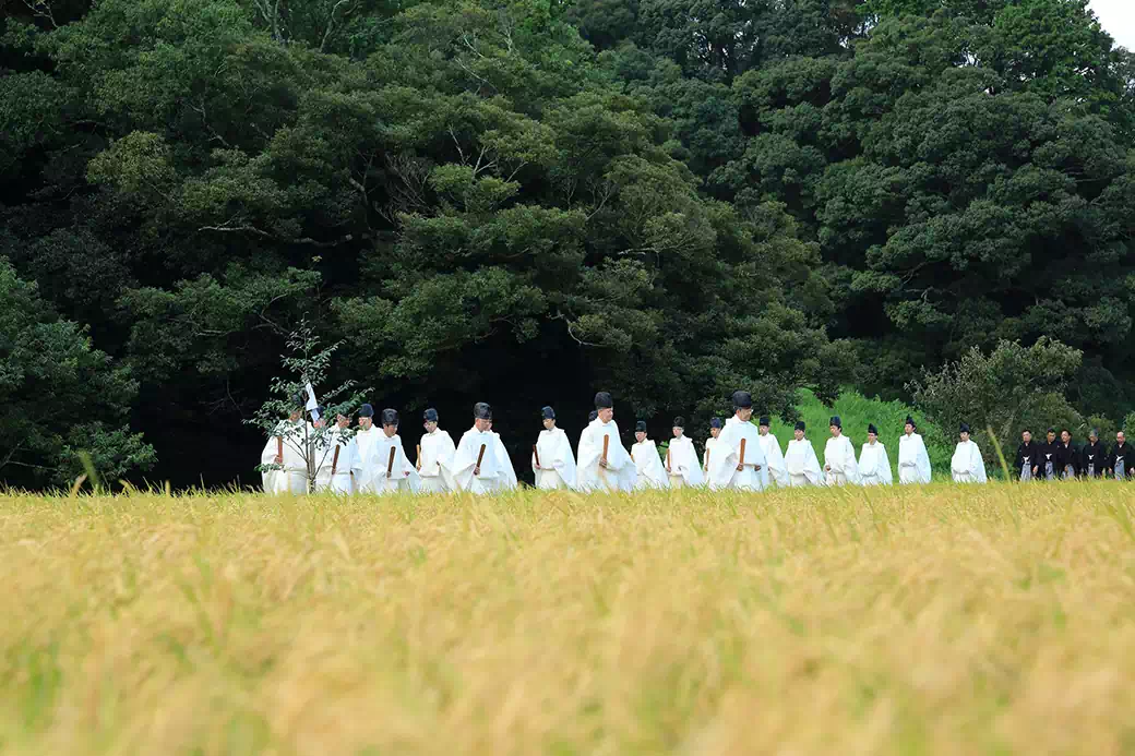 9月上旬　抜穂祭