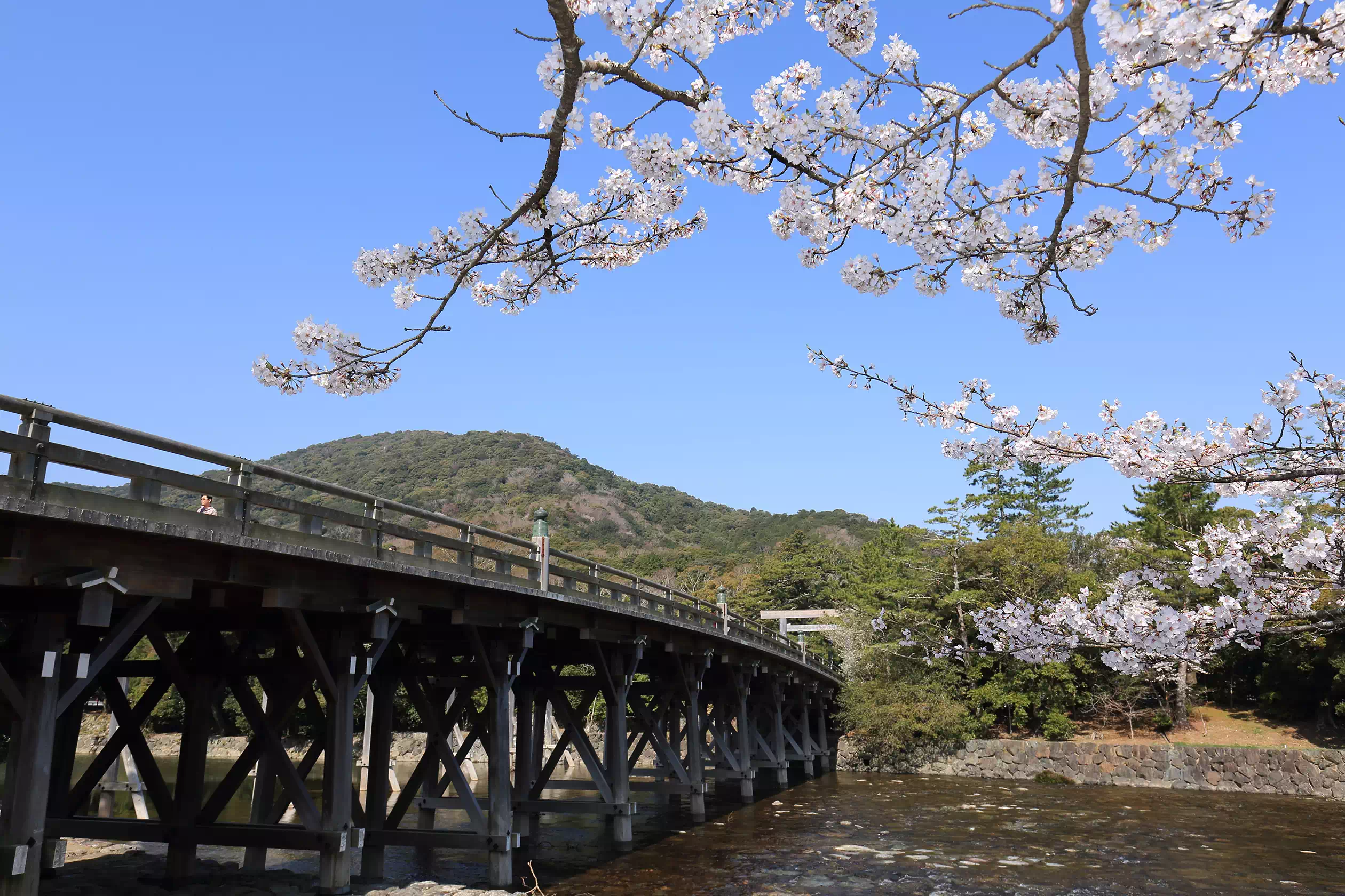 宇治橋（うじばし）・五十鈴川（いすずがわ）