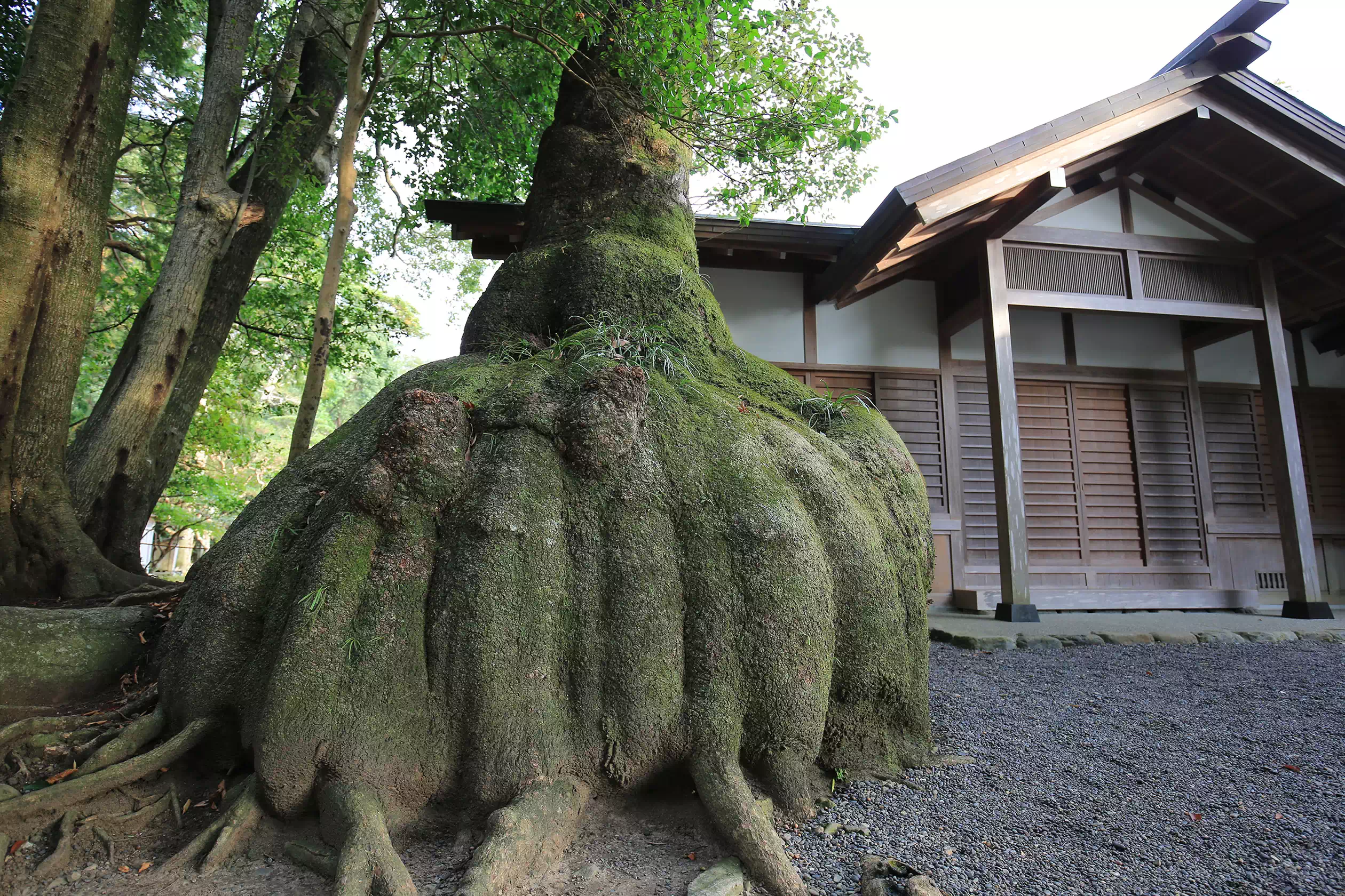 伊雑宮(いざわのみや)