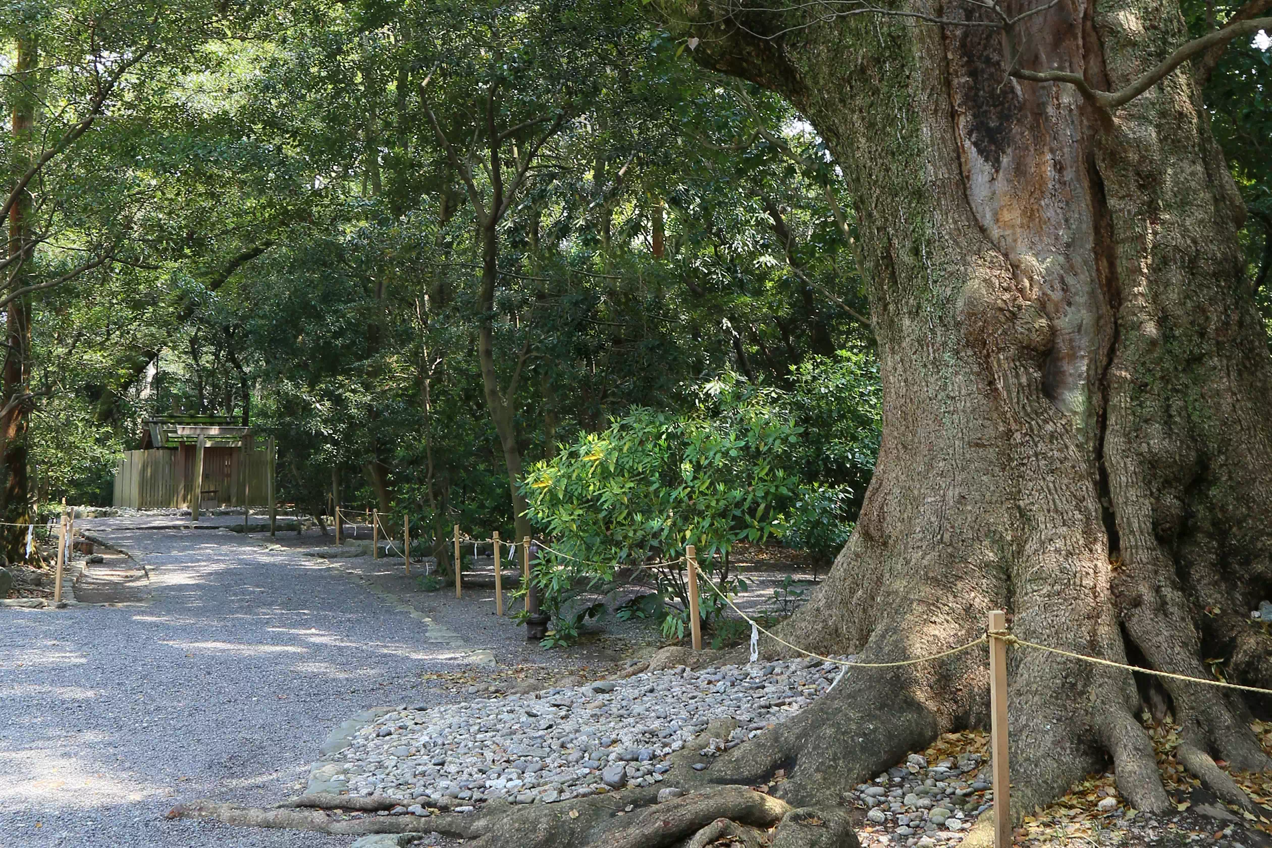 月夜見宮(つきよみのみや)