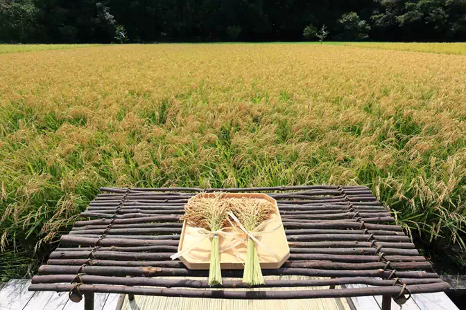 神宮の御料と御料地