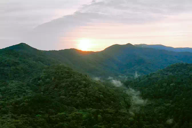 日が昇る神宮の森