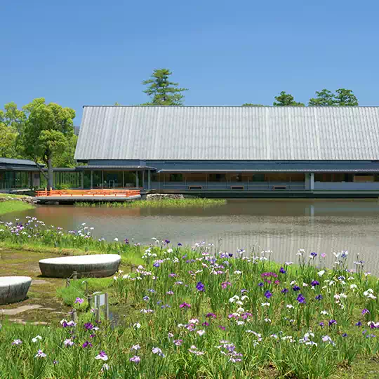せんぐう館とまがたま池