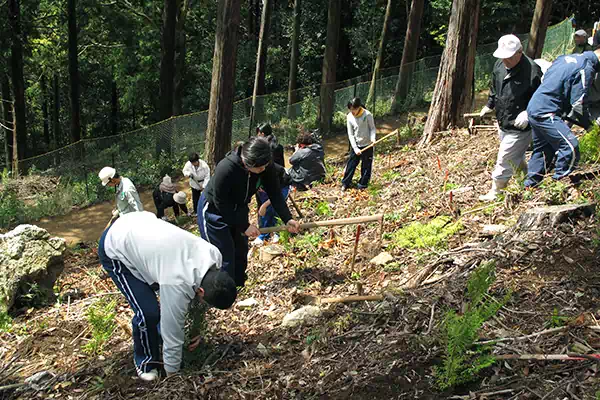 200年後の為に檜の苗木を植える植樹祭