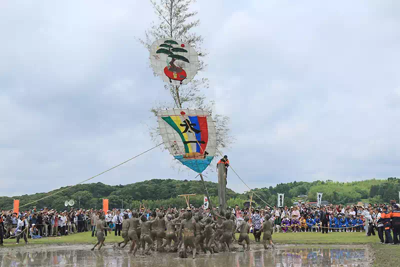 伊雑宮御田植式