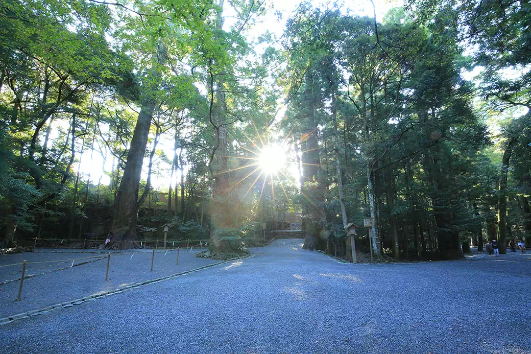 緑豊かな神域