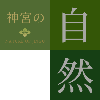 神宮の自然 NATURE OF JINGU