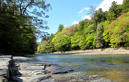 五十鈴川- 伊勢神宮 內 